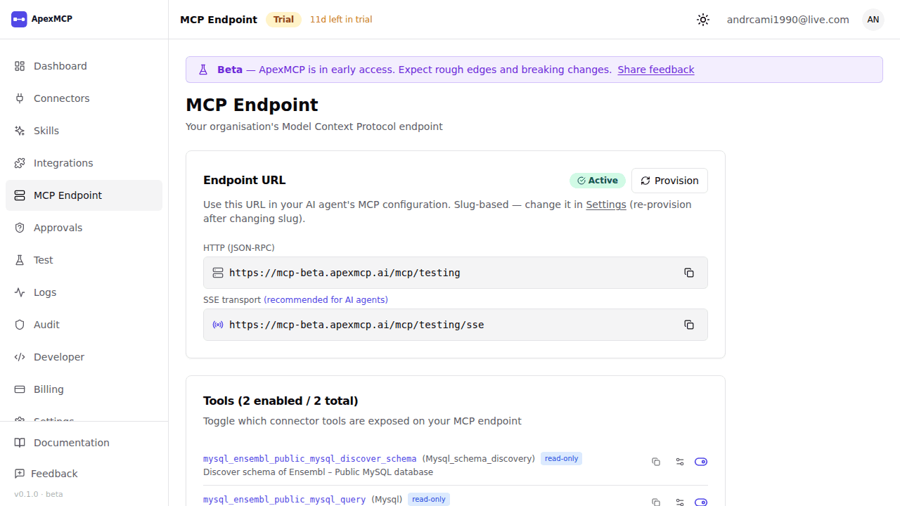 The MCP Endpoint page